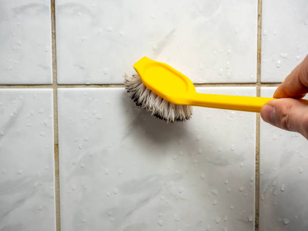 Best Same-Day Mold Removal  in New Hope, MN