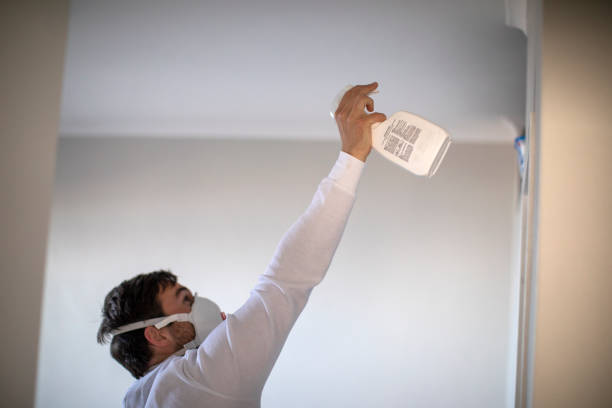 Best Certified Mold Removal  in New Hope, MN