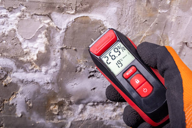 Best Residential Mold Removal  in New Hope, MN