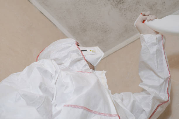 Best Certified Mold Removal  in New Hope, MN